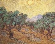 Vincent Van Gogh Olive Trees with Yellow Sky and Sun (nn04) oil painting reproduction